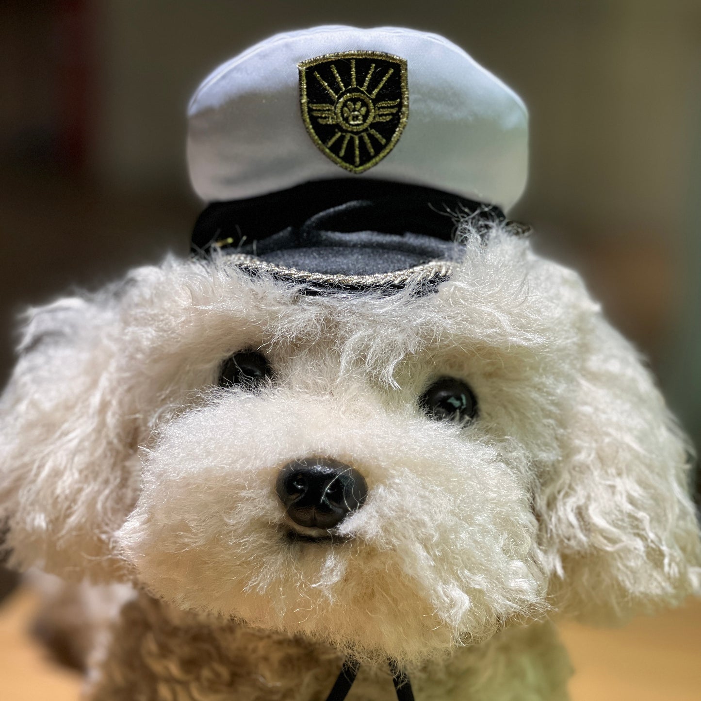 MOMOJI AIR PILOT Cap