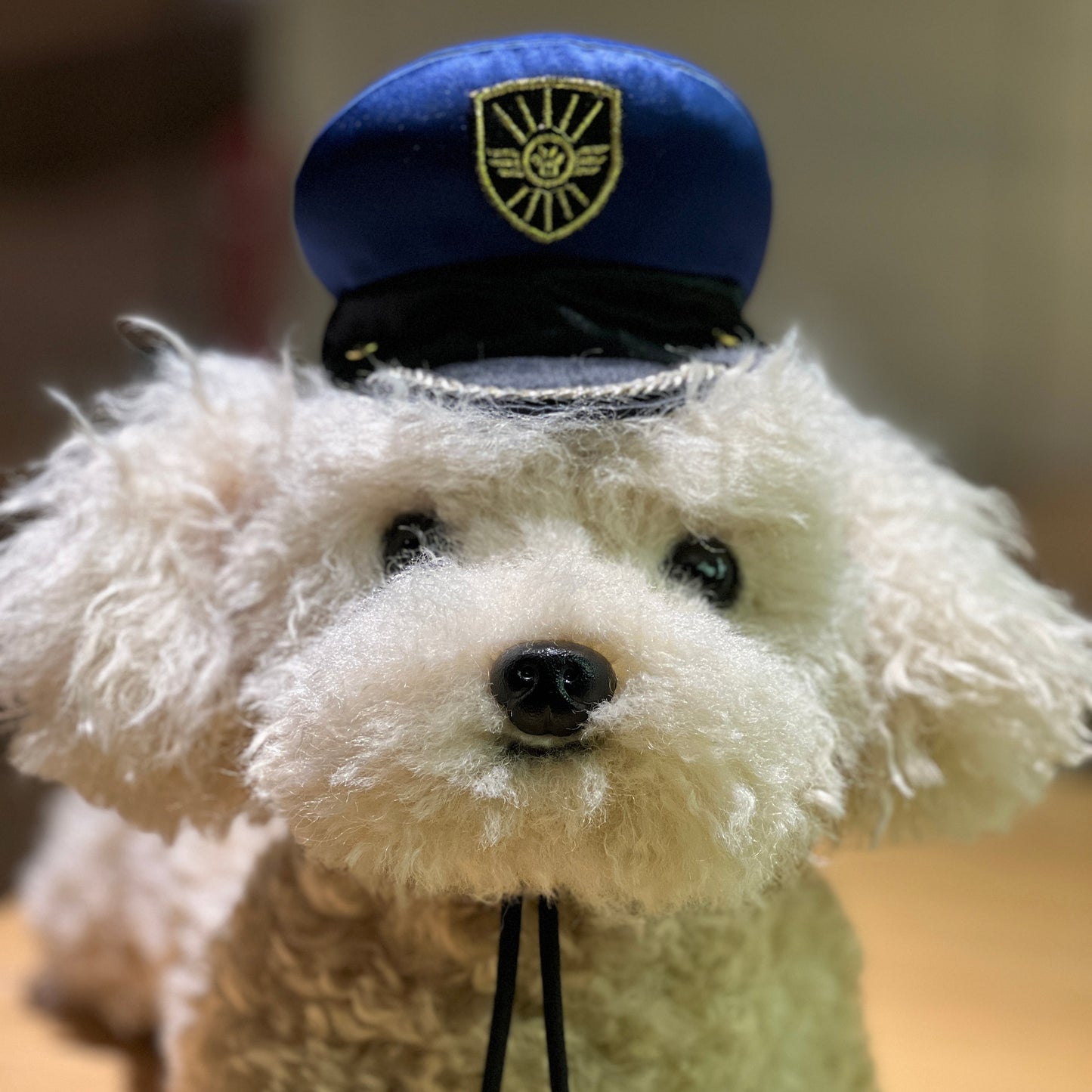 MOMOJI AIR PILOT Cap