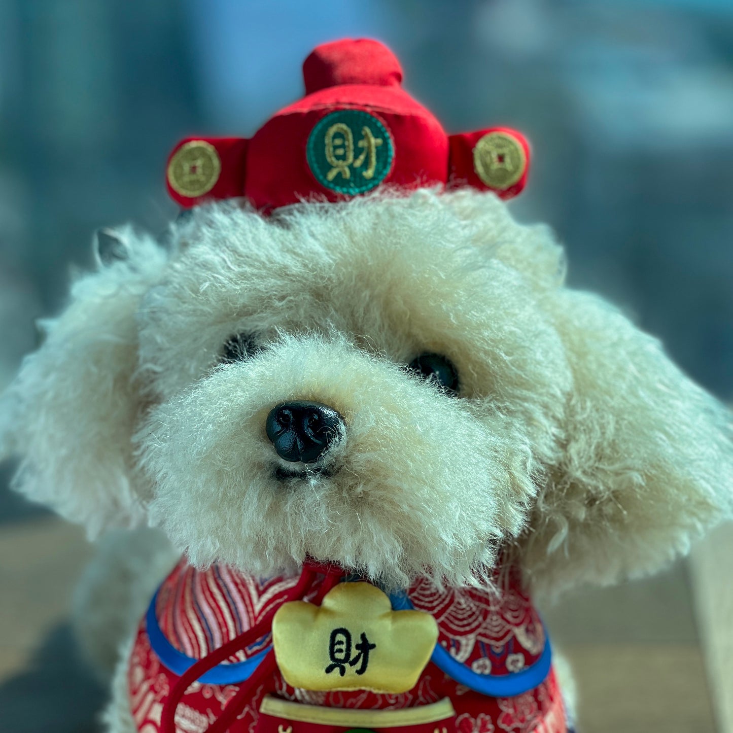 GOD OF WEALTH Pet CNY Hat