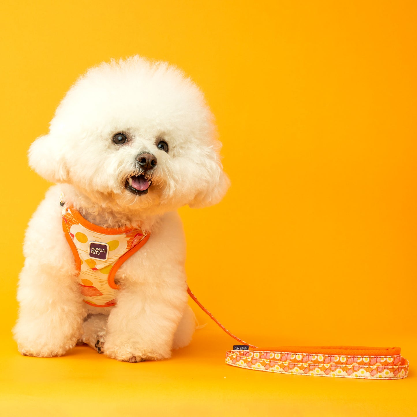 Luncheon Meat Egg Noodles | Walkwear | Hong Kong