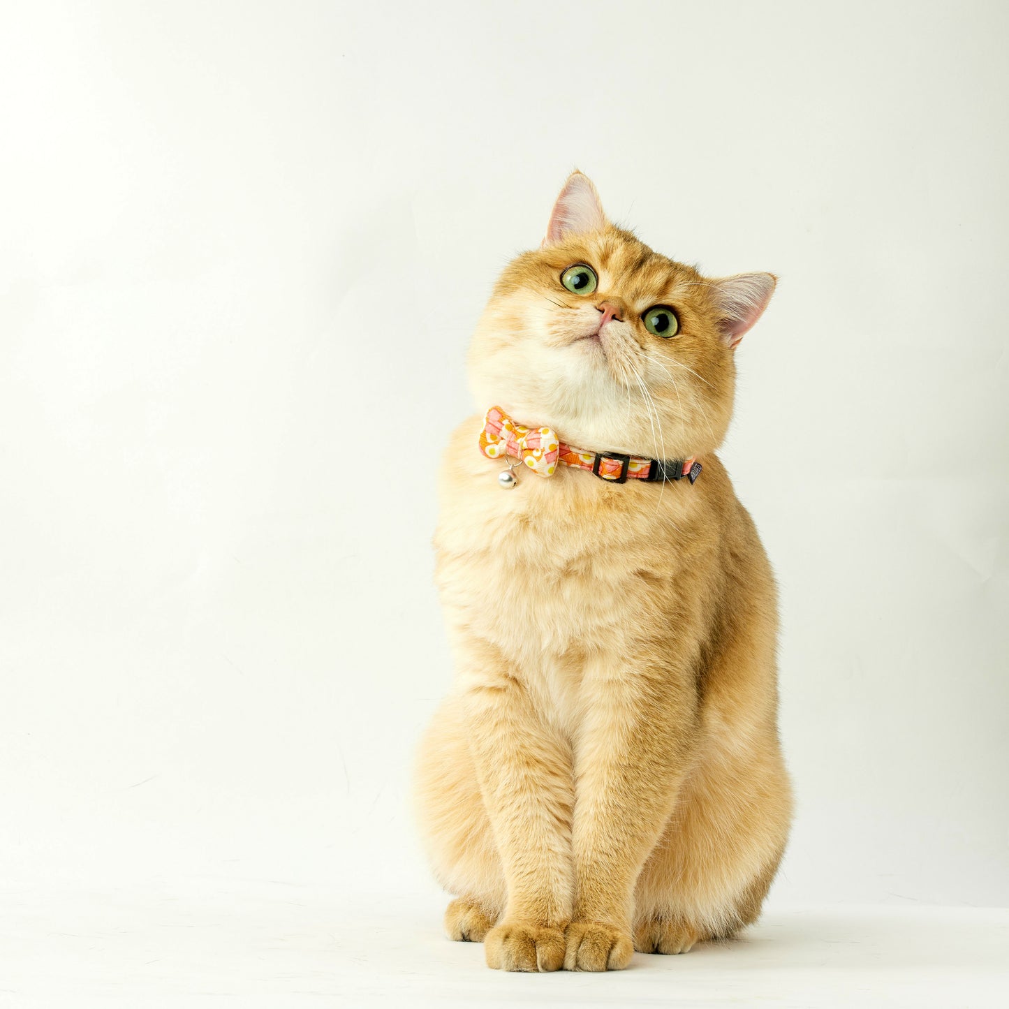 Luncheon Meat Egg Noodles | Walkwear | Hong Kong