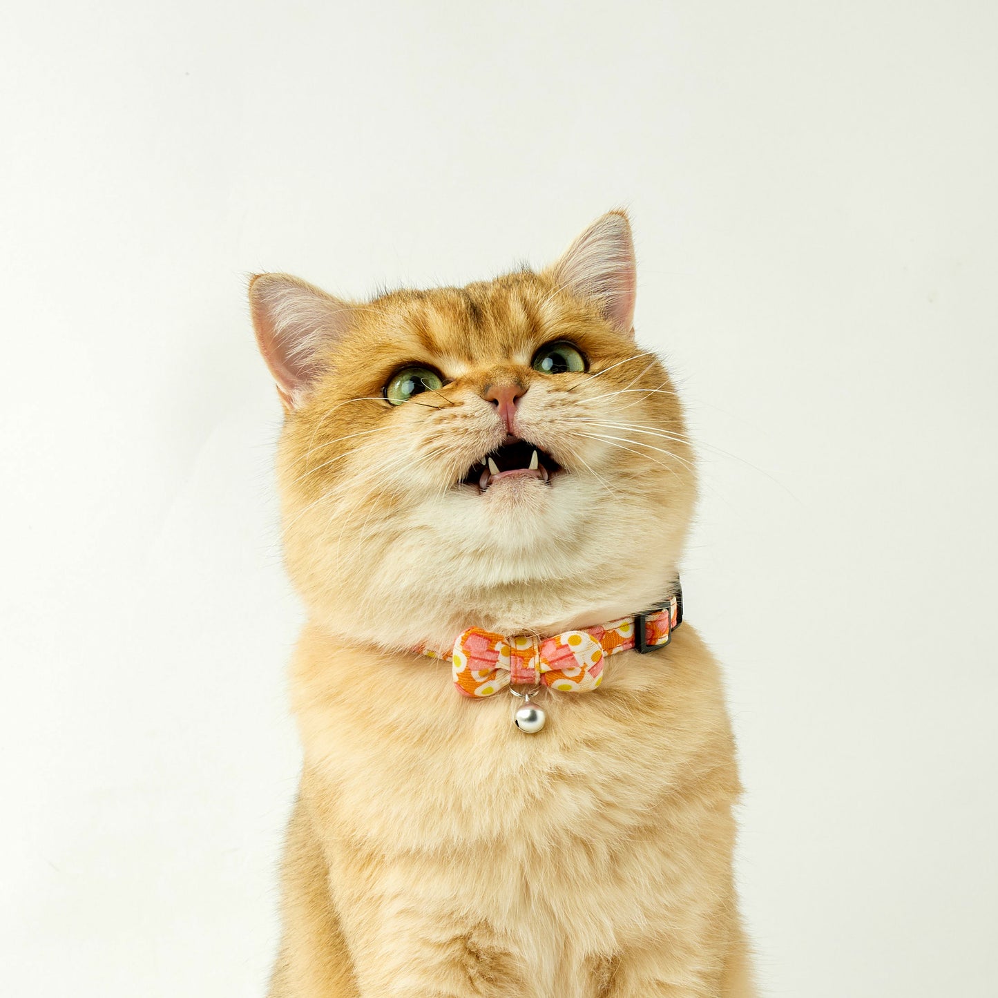 Luncheon Meat Egg Noodles | Walkwear | Hong Kong