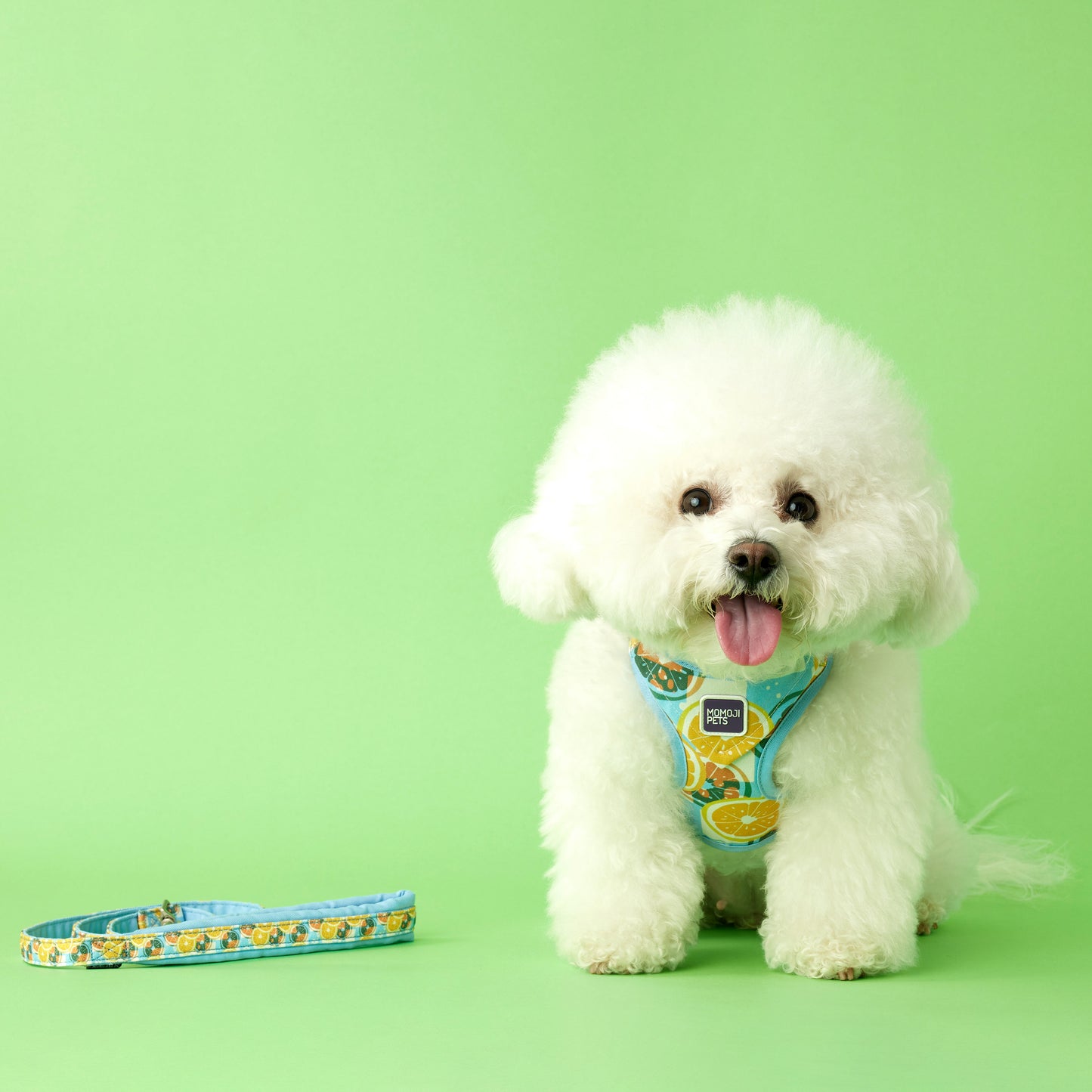 Iced Lemon Tea (C0T) | Walkwear | Hong Kong