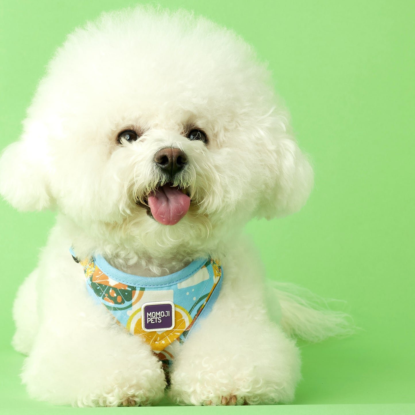 Iced Lemon Tea (C0T) | Walkwear | Hong Kong