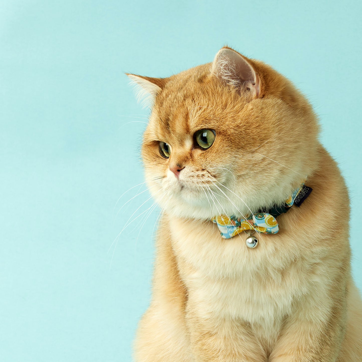 Iced Lemon Tea (C0T) | Walkwear | Hong Kong