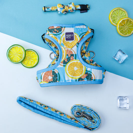 Iced Lemon Tea (C0T) | Walkwear | Hong Kong