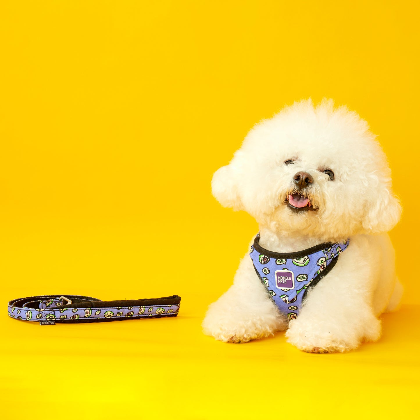 Mahjong | Walkwear | Hong Kong