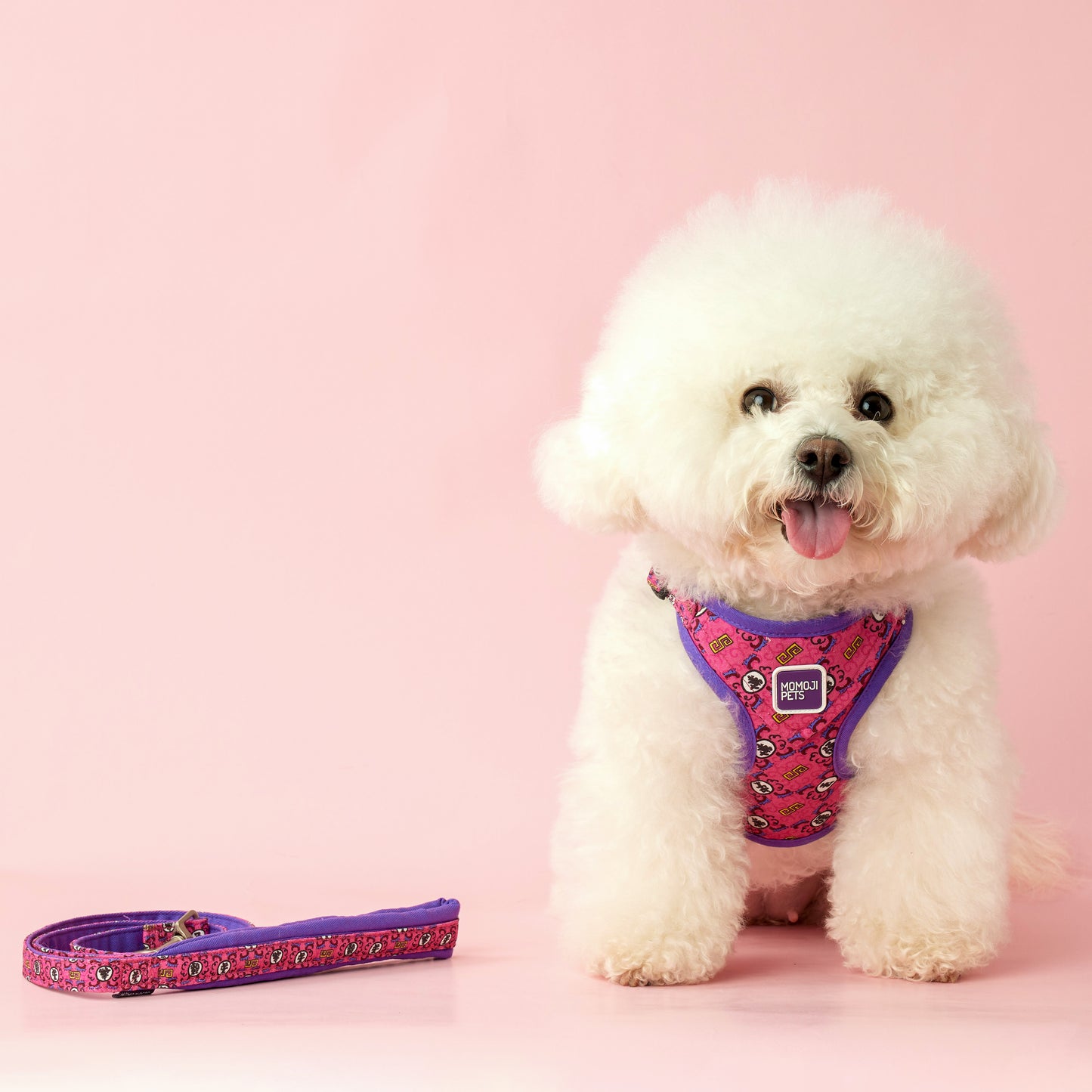 Long Live The Fur | Walkwear | Hong Kong