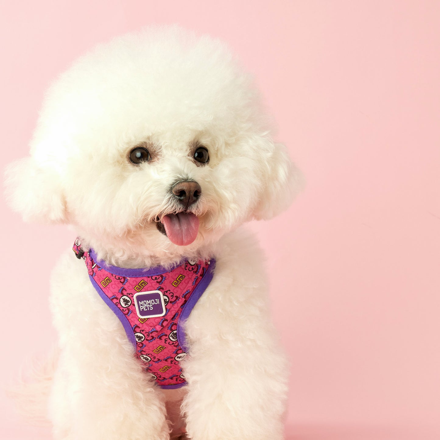 Long Live The Fur | Walkwear | Hong Kong