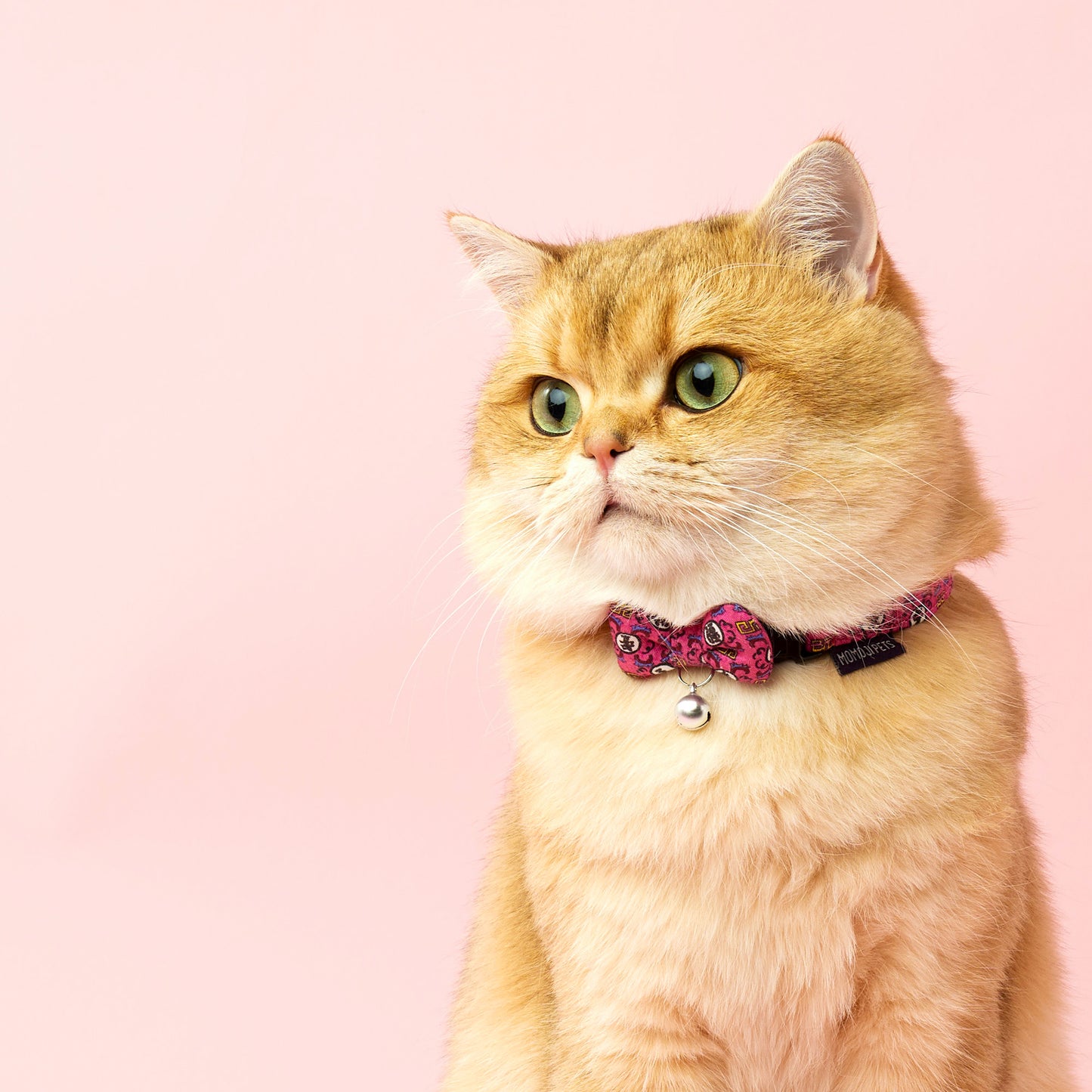 Long Live The Fur | Walkwear | Hong Kong