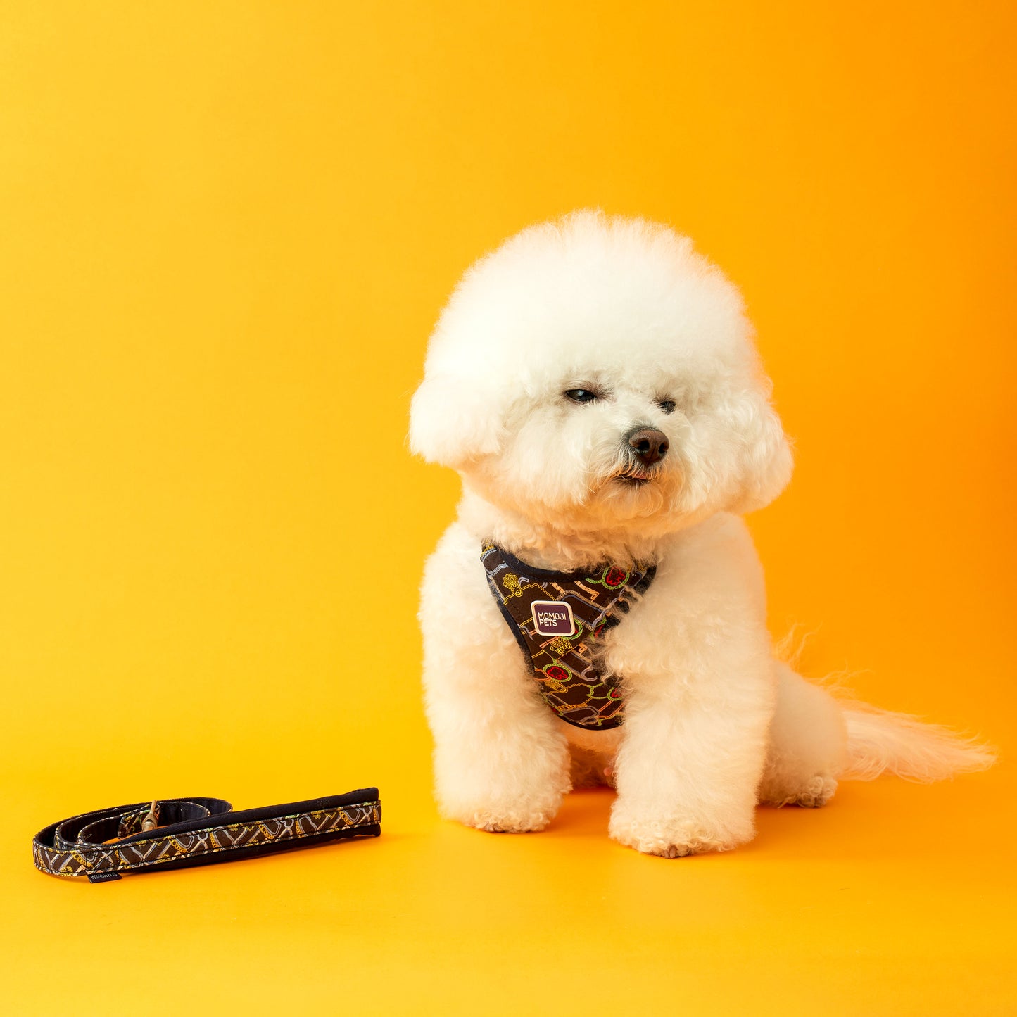 Nathan Road | Walkwear | Hong Kong