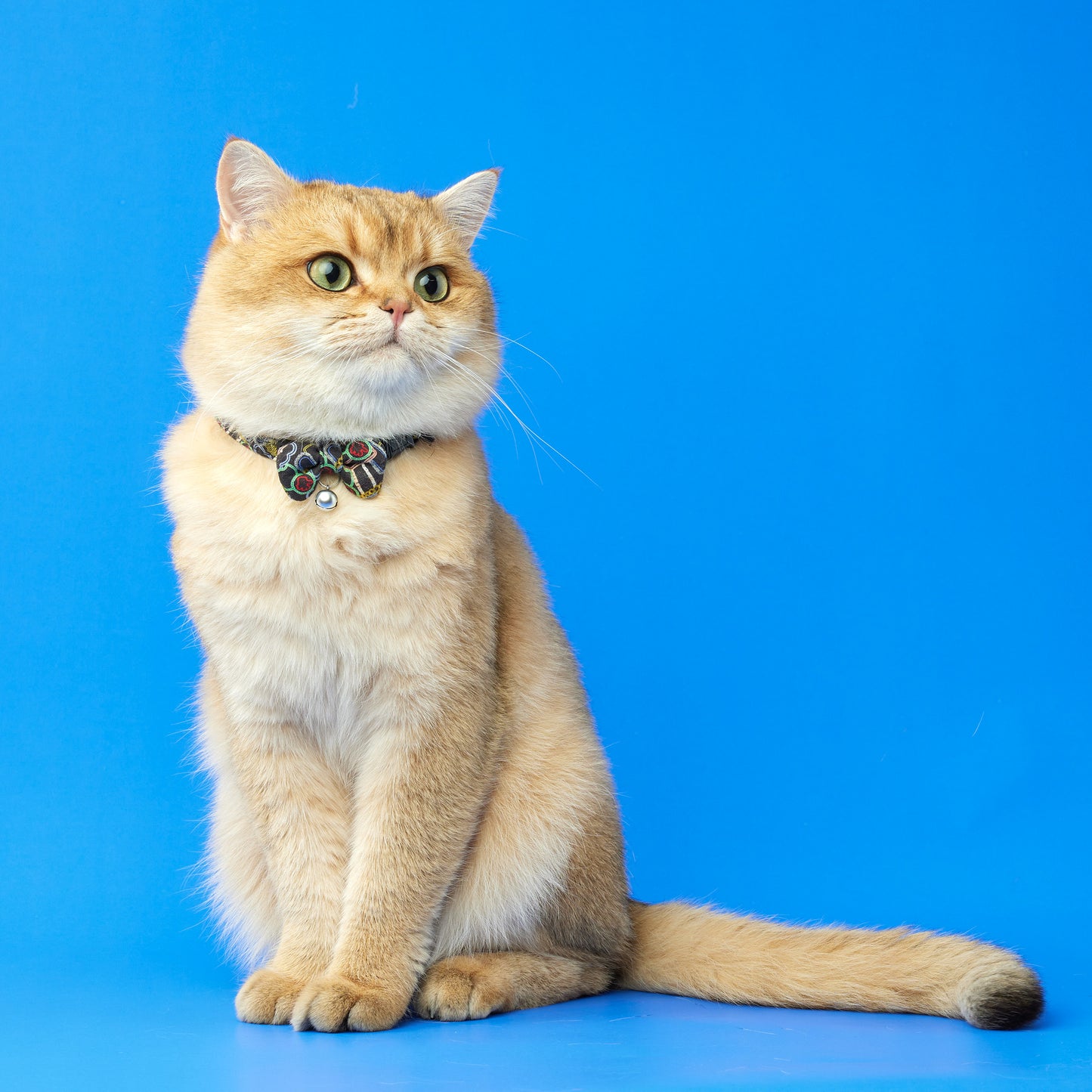 Nathan Road | Walkwear | Hong Kong