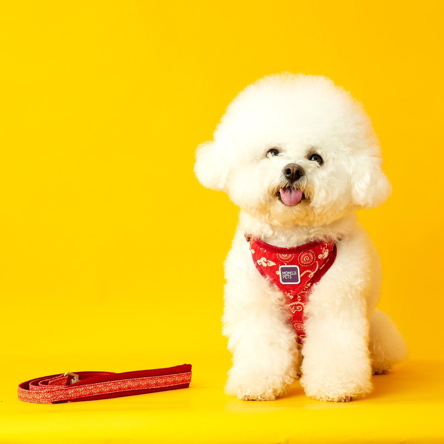 Dancing Fire Dragon | Walkwear | Hong Kong