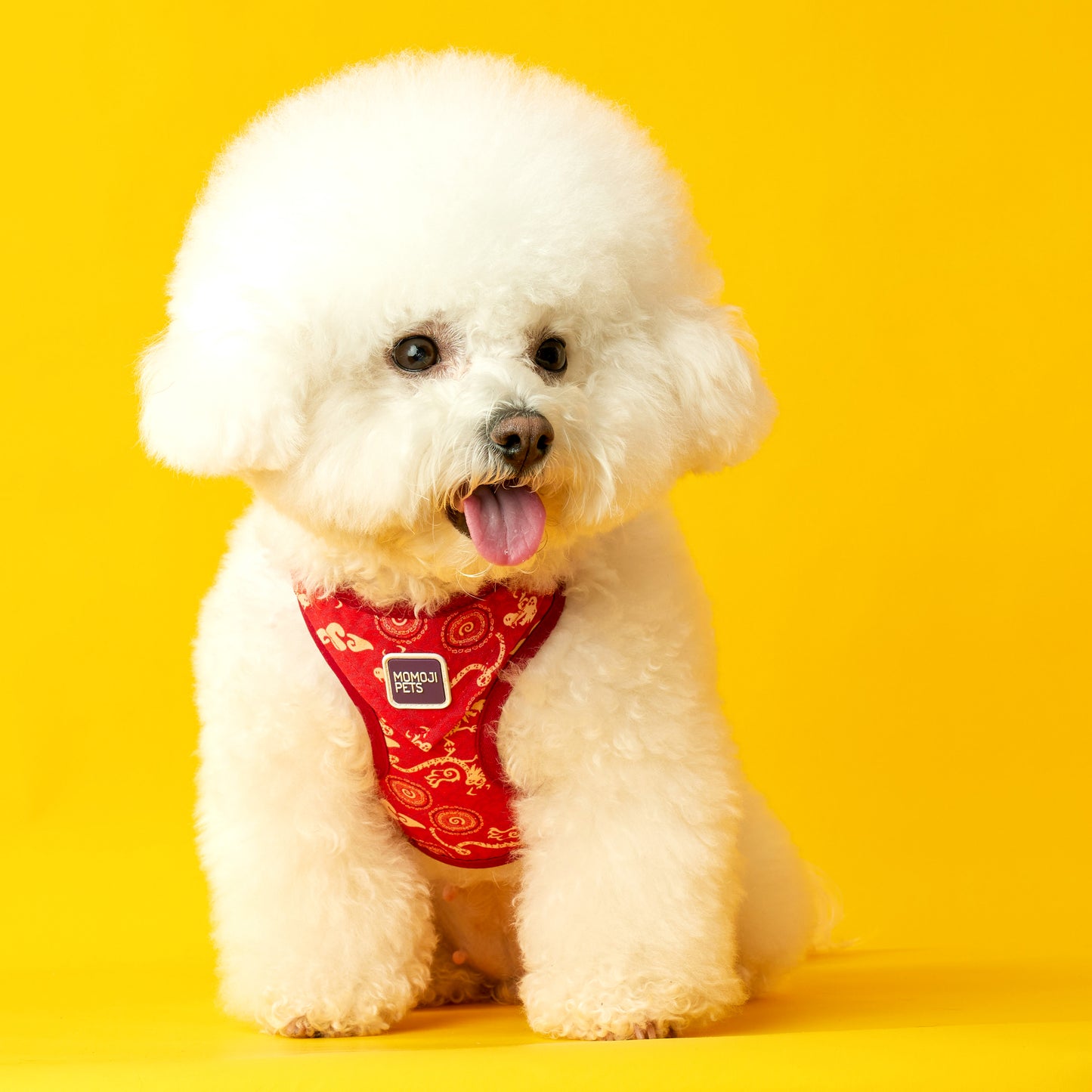 Dancing Fire Dragon | Walkwear | Hong Kong