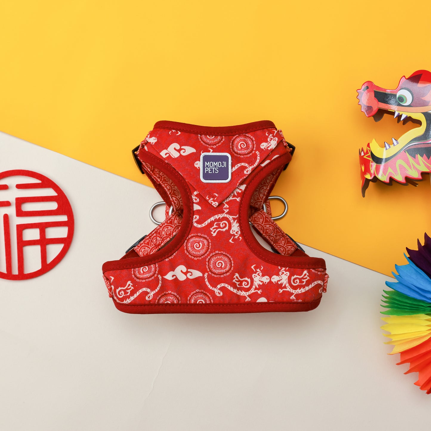 Dancing Fire Dragon | Walkwear | Hong Kong