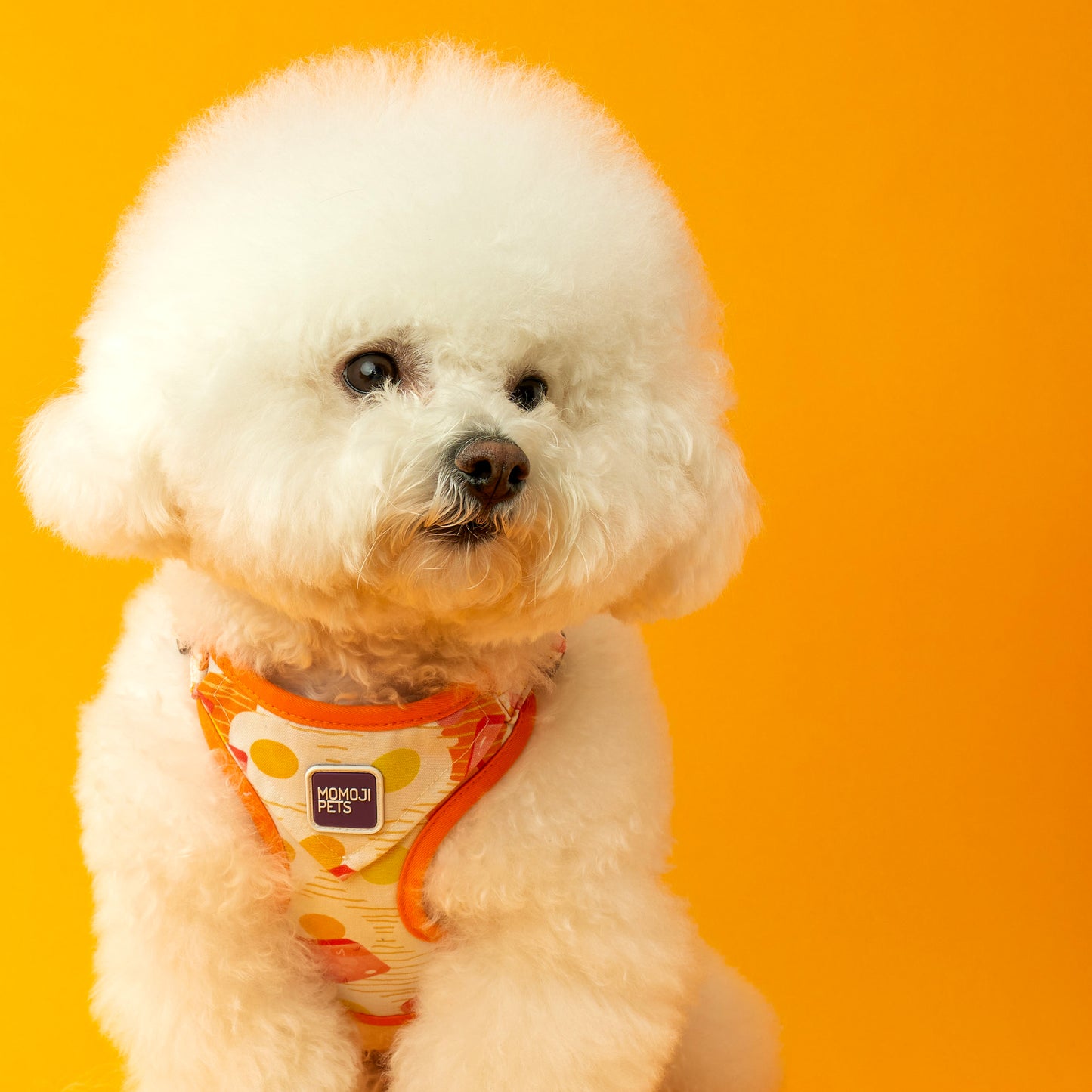 Luncheon Meat Egg Noodles | Walkwear | Hong Kong