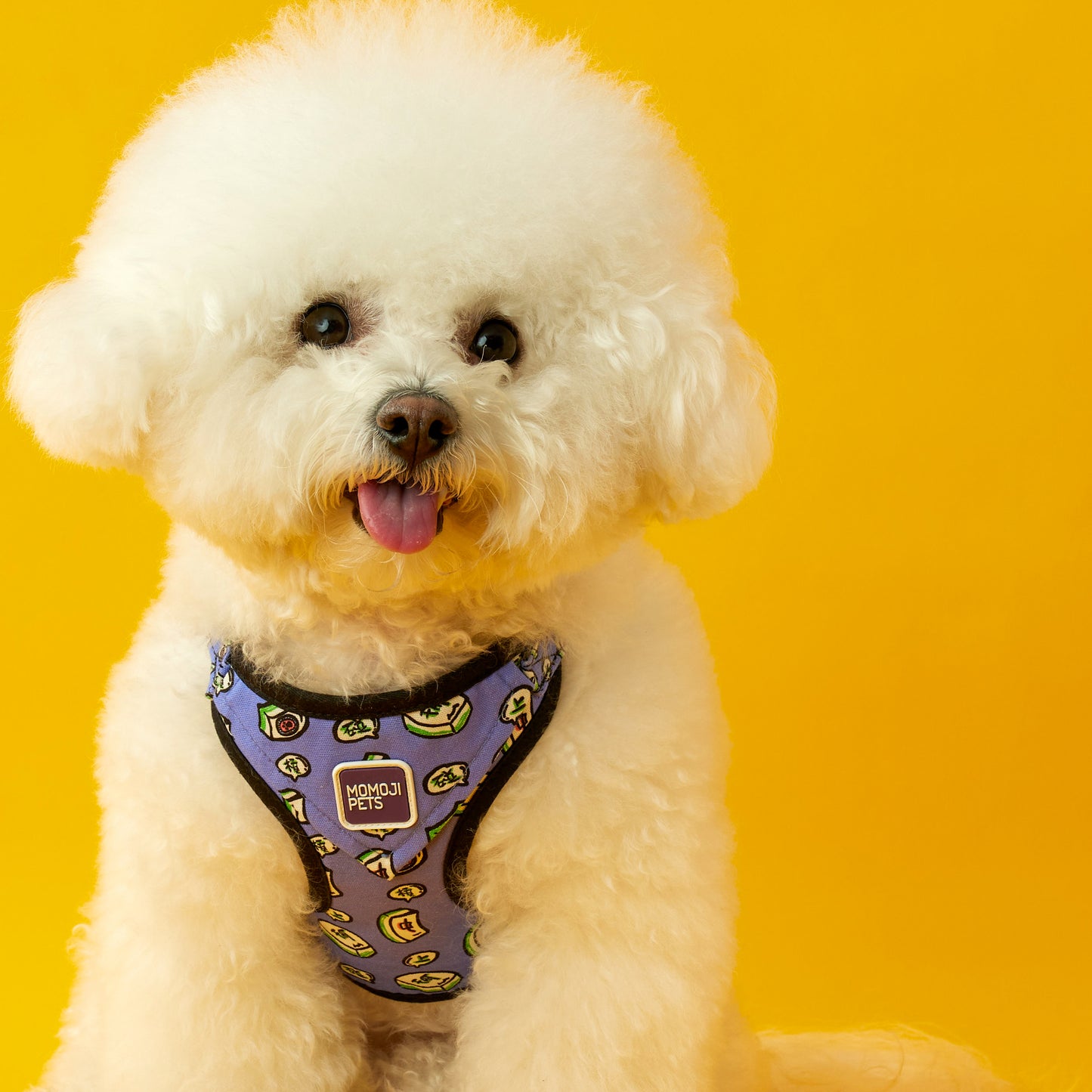 Mahjong | Walkwear | Hong Kong