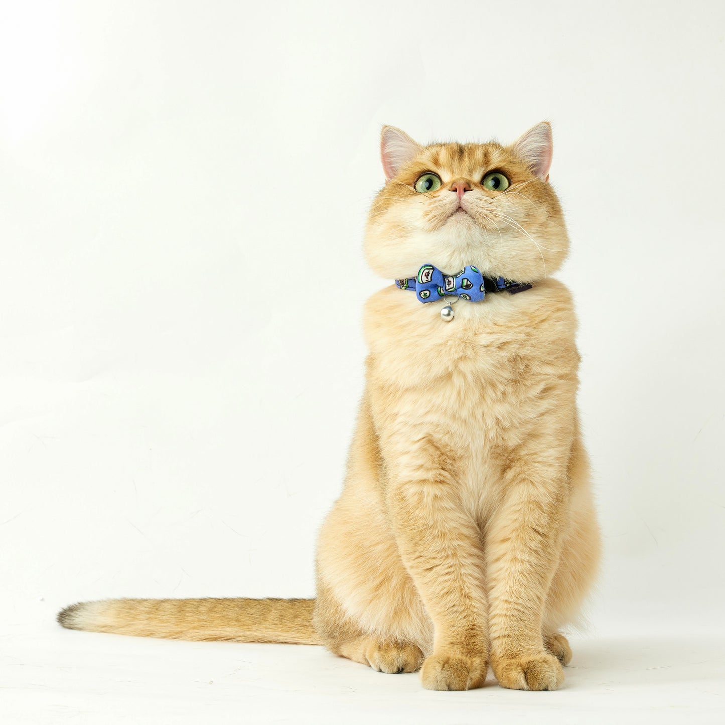 Mahjong | Walkwear | Hong Kong