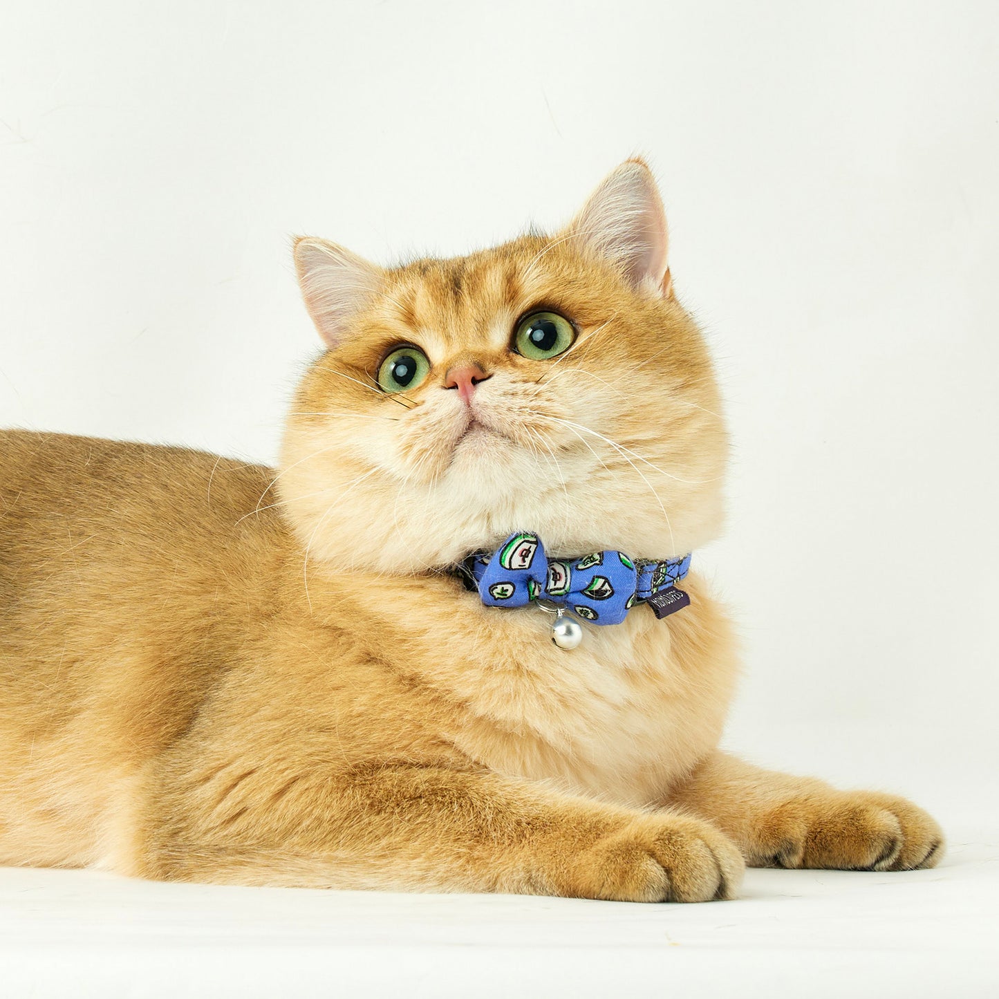 Mahjong | Walkwear | Hong Kong