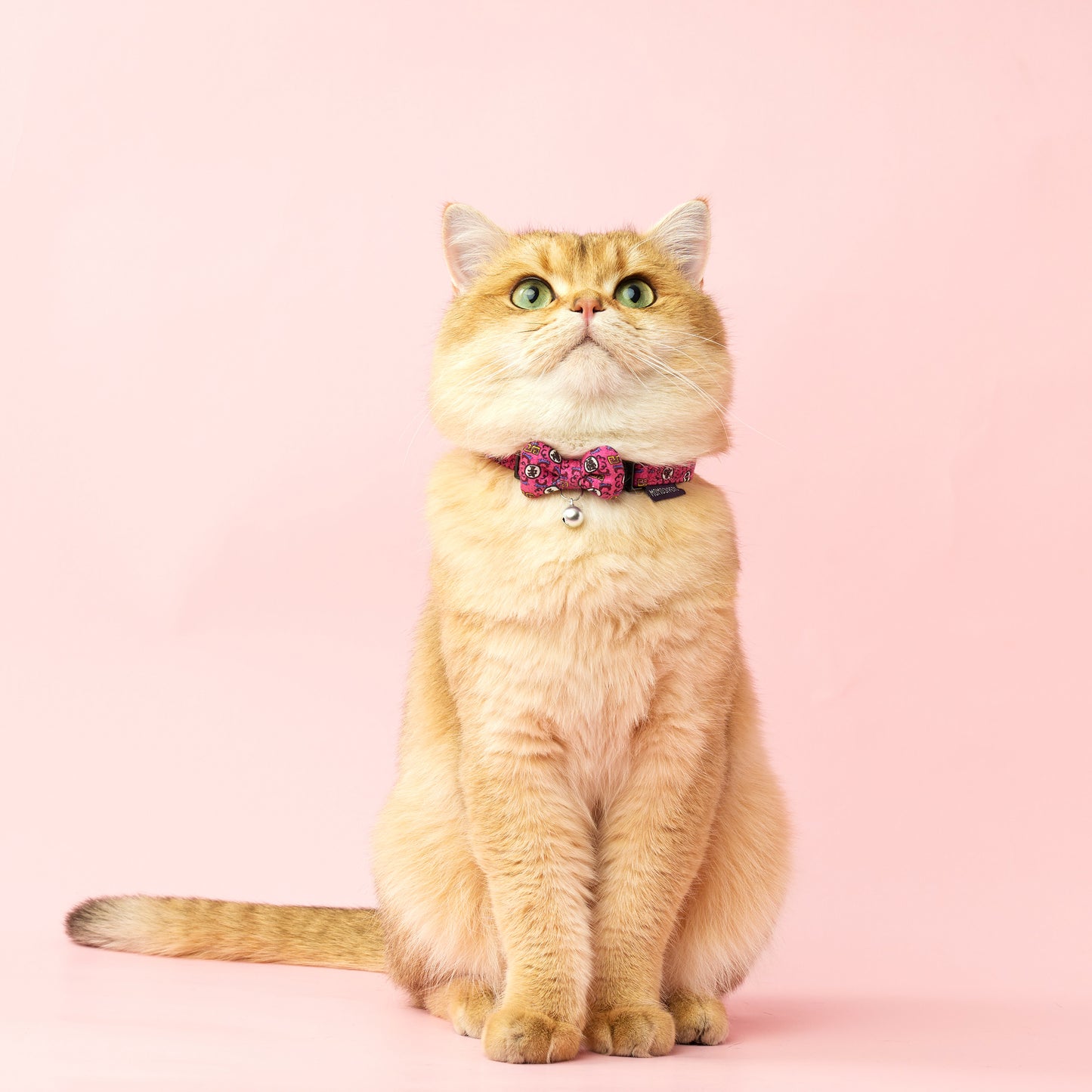 Long Live The Fur | Walkwear | Hong Kong