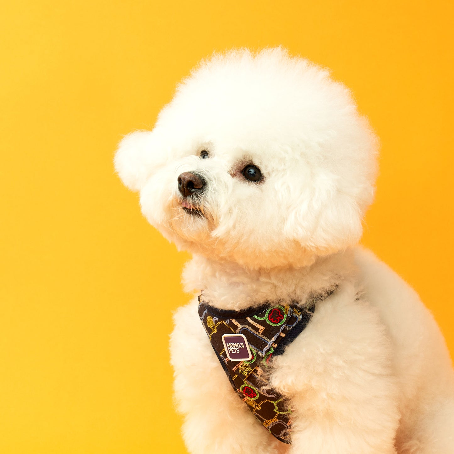 Nathan Road | Walkwear | Hong Kong