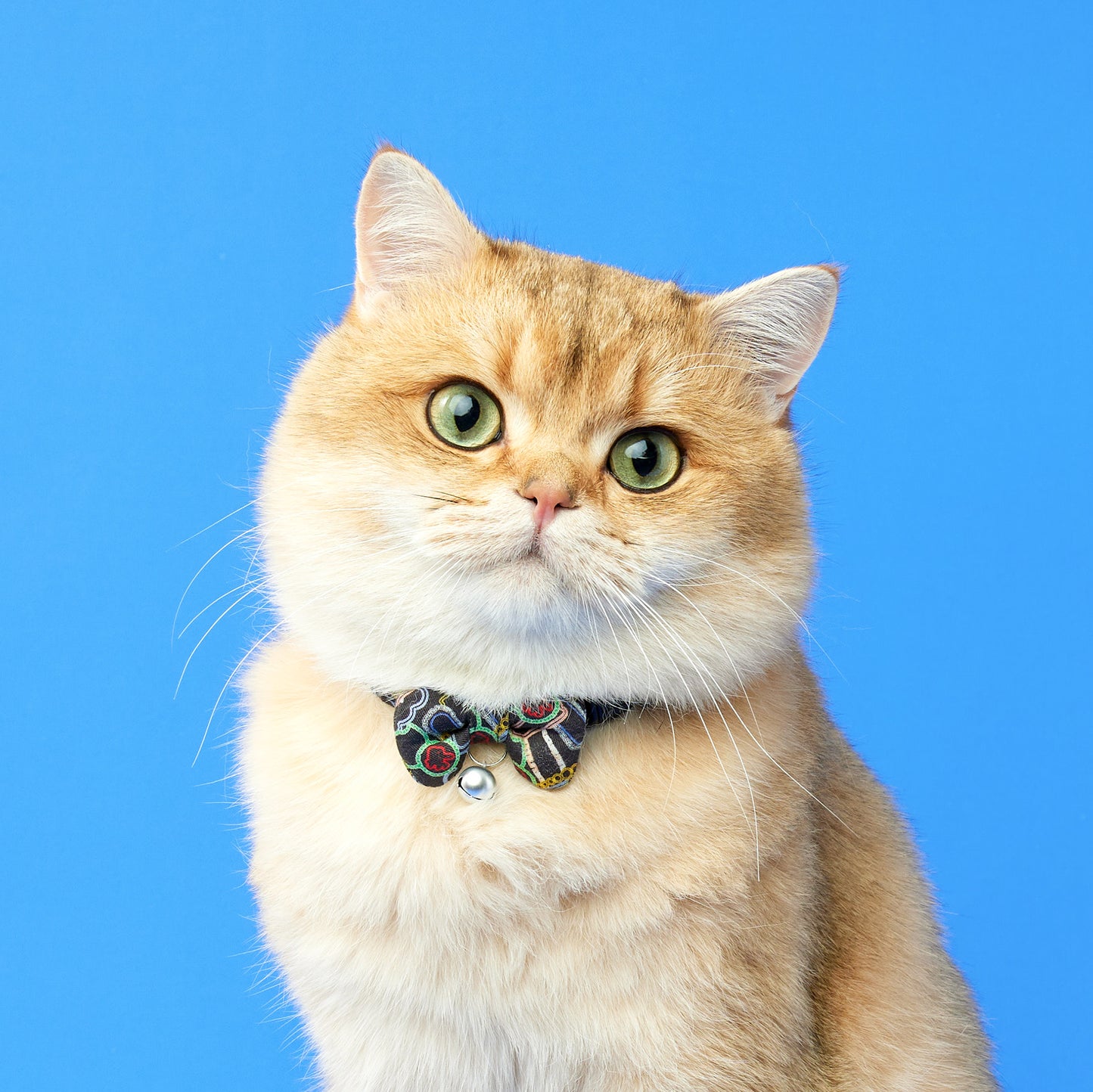 Nathan Road | Walkwear | Hong Kong