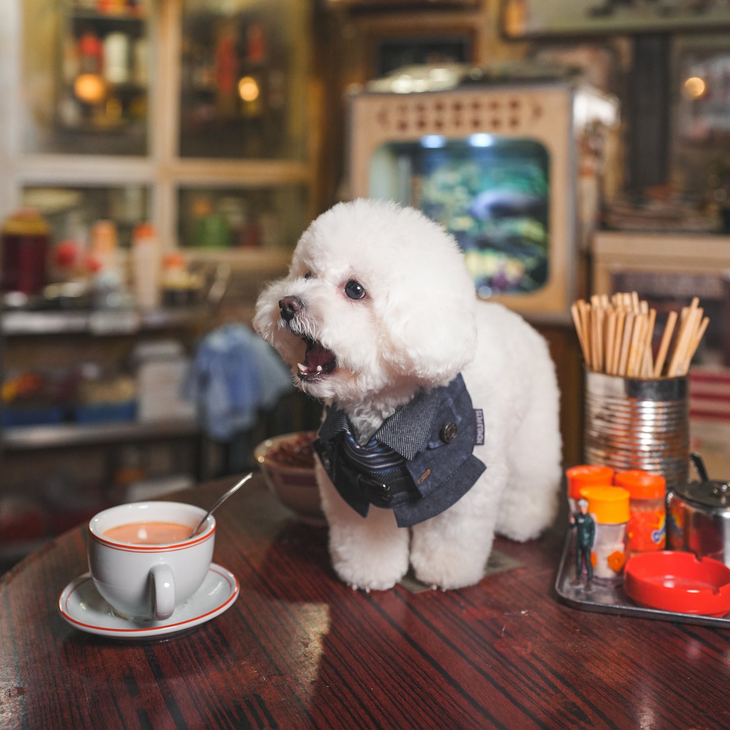 Lok-kwan B (洛軍) | Pet Bib