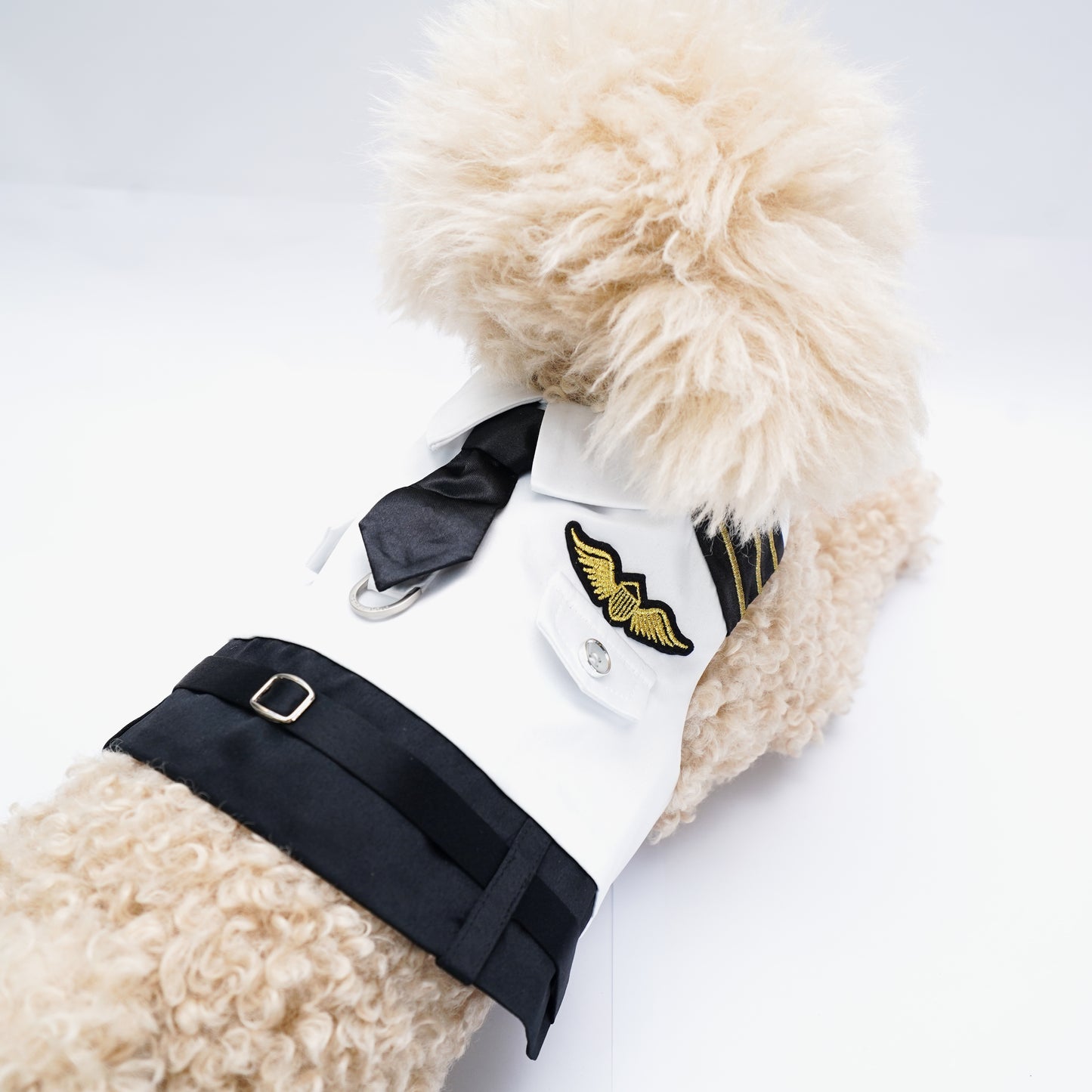 Coolmore | Pet Vest (make-to-order item)