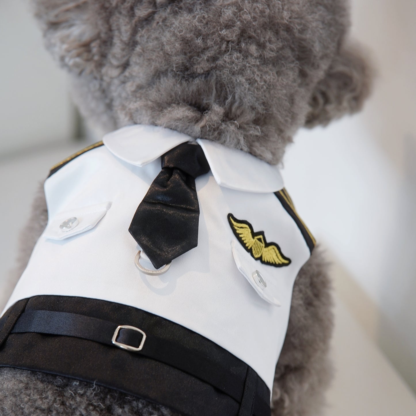 Coolmore | Pet Vest (make-to-order item)