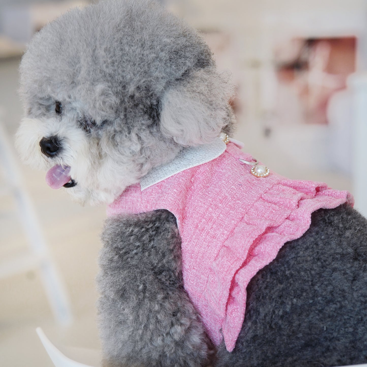 Kristen | Pet Vest (make-to-order item)