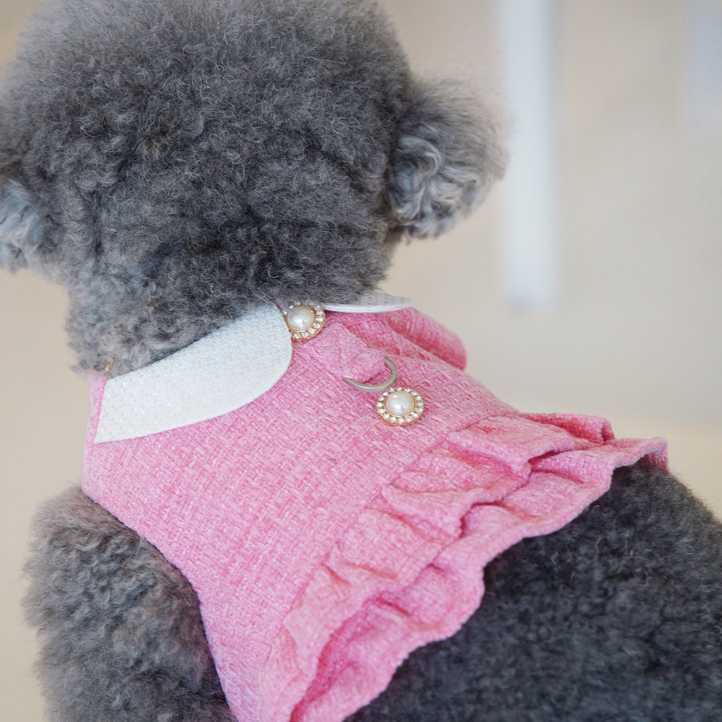 Kristen | Pet Vest (make-to-order item)