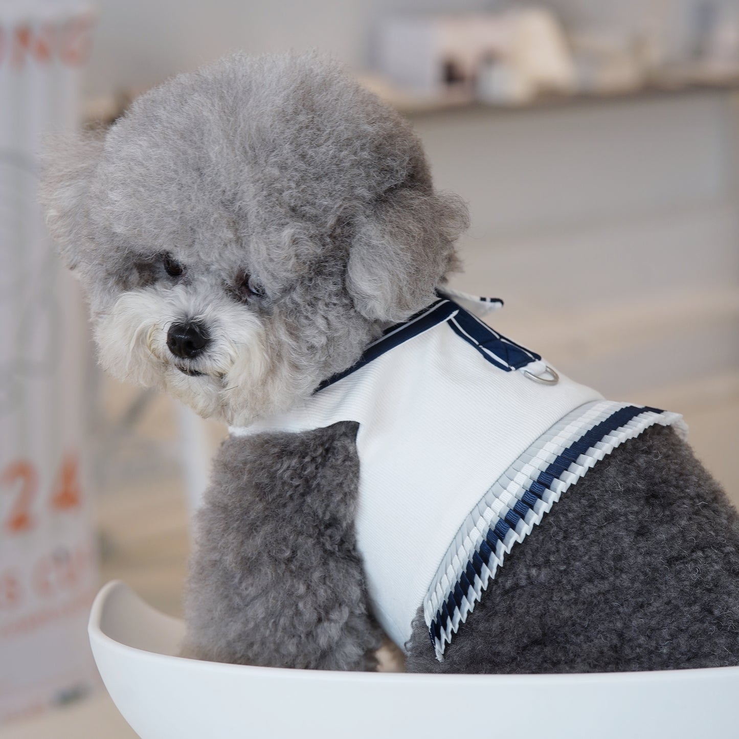 Sharapawva | Pet Vest (make-to-order item)