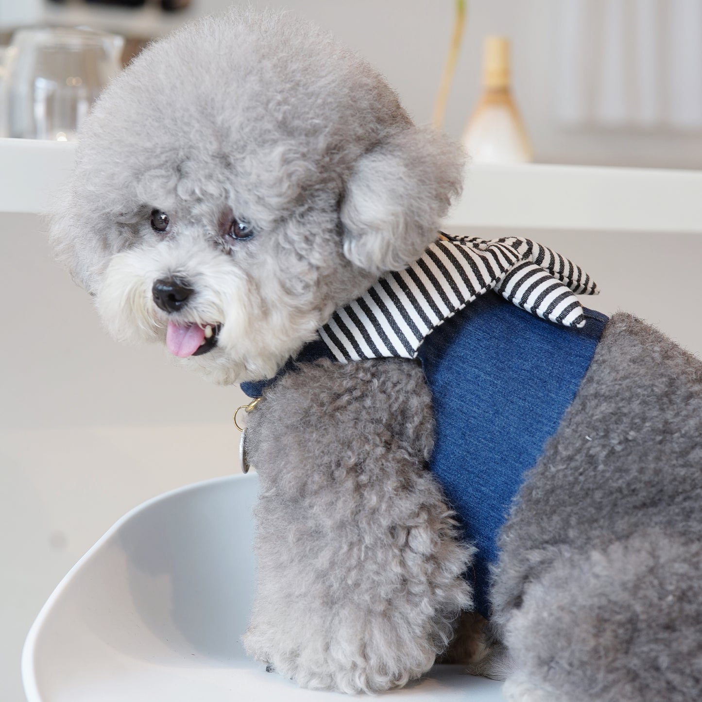 Michael | Pet Vest (make-to-order item)