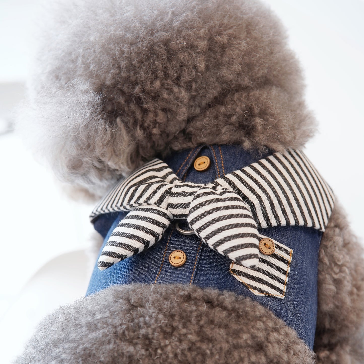 Michael | Pet Vest (make-to-order item)