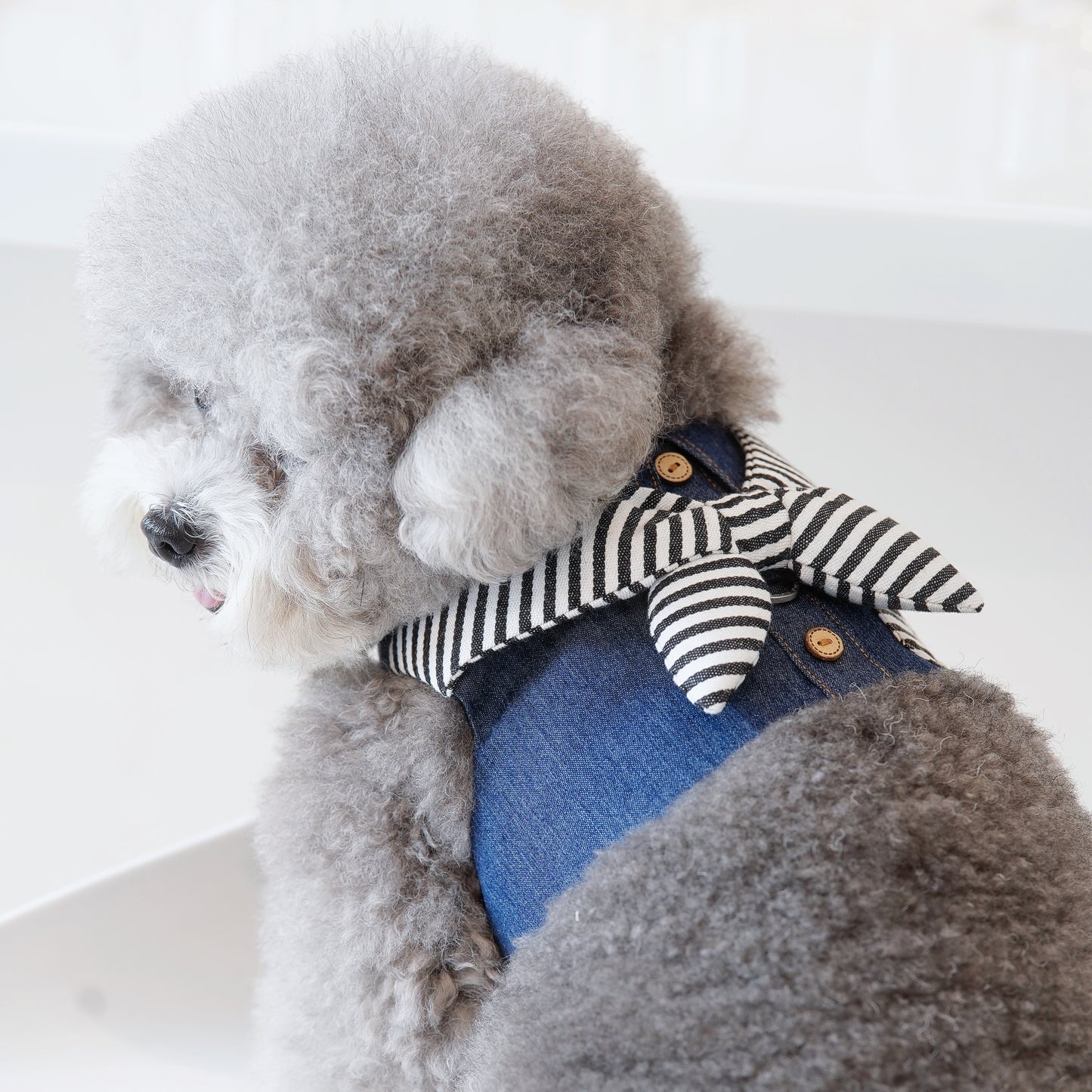 Michael | Pet Vest (make-to-order item)