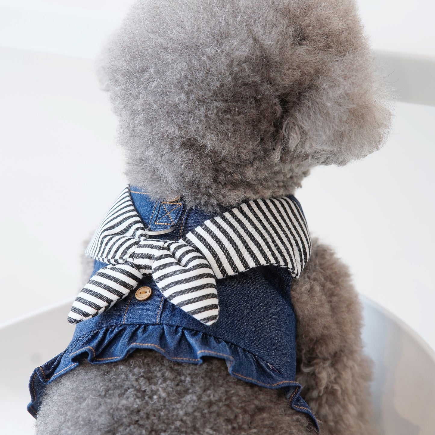 Michelle | Pet Vest (make-to-order item)