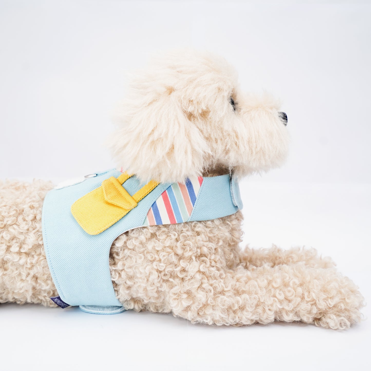Momoji Bear Boy | Pet Vest (make-to-order item)