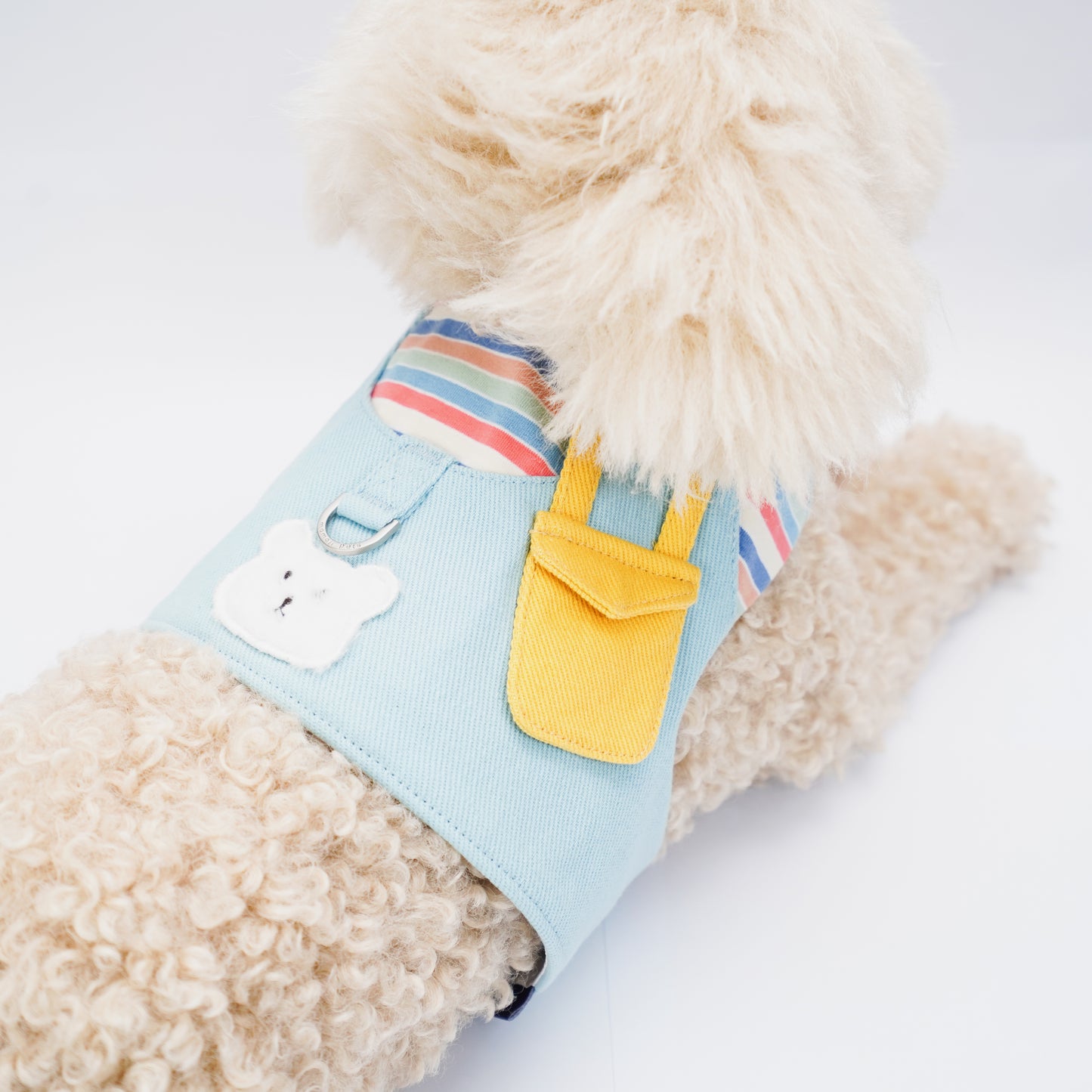 Momoji Bear Boy | Pet Vest (make-to-order item)