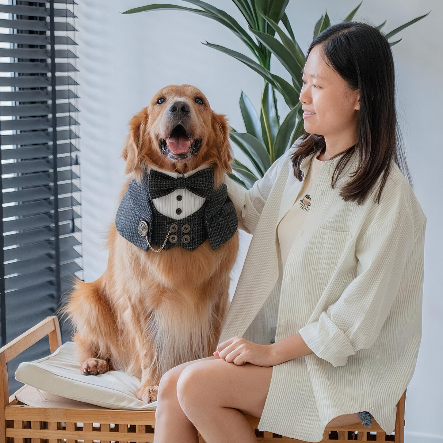 Bond (2-Charcoal Houndstooth) | Pet Neckwear