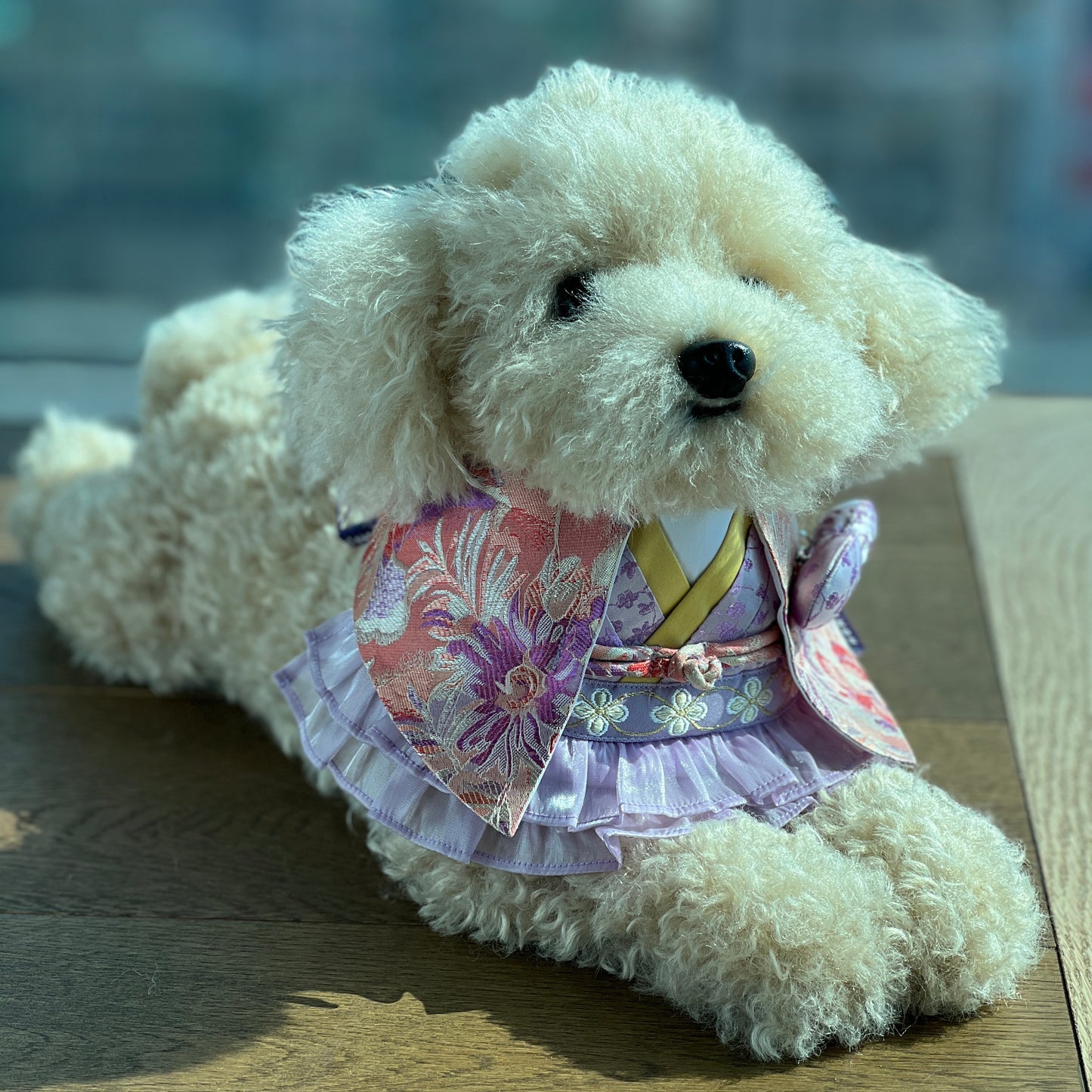 Shine | Festival Bib | CNY