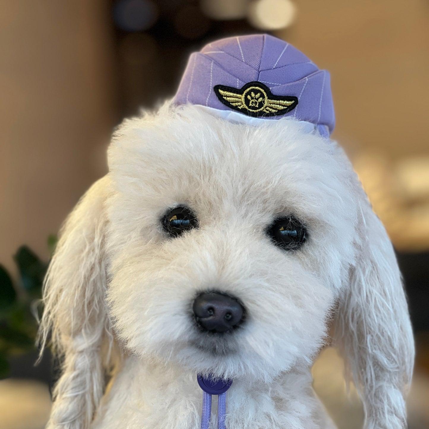 MOMOJI AIR STEWARDESS Cap