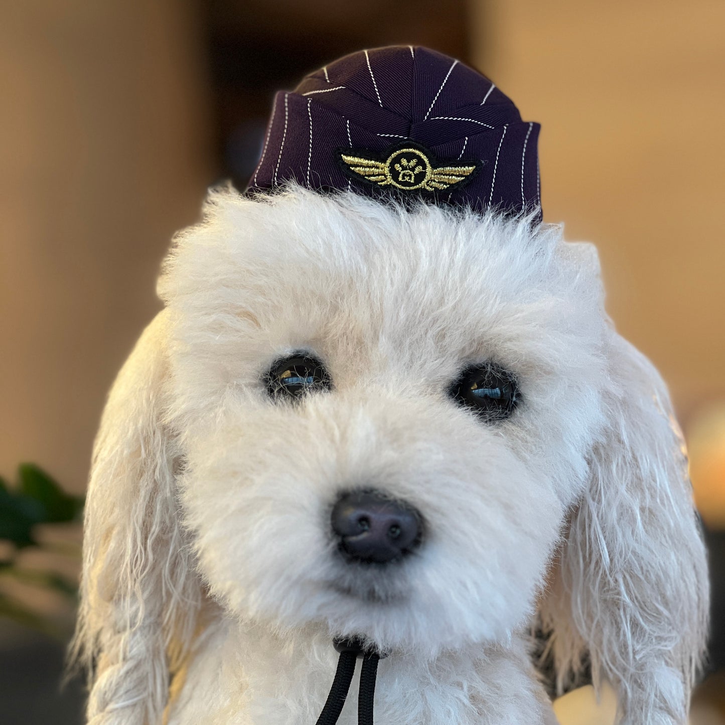 MOMOJI AIR STEWARDESS Cap