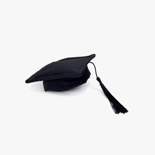 Baccalaureate Regalia Pet Hat