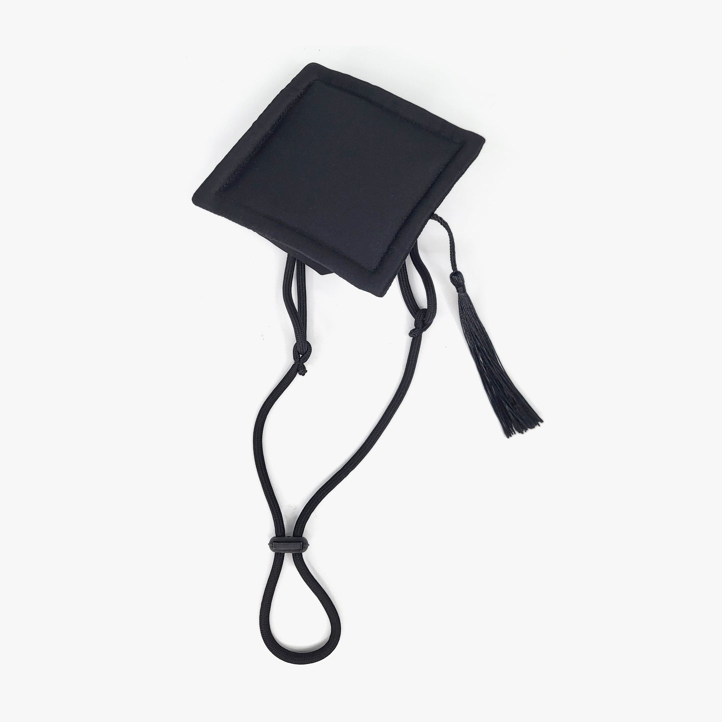 Baccalaureate Regalia Pet Hat