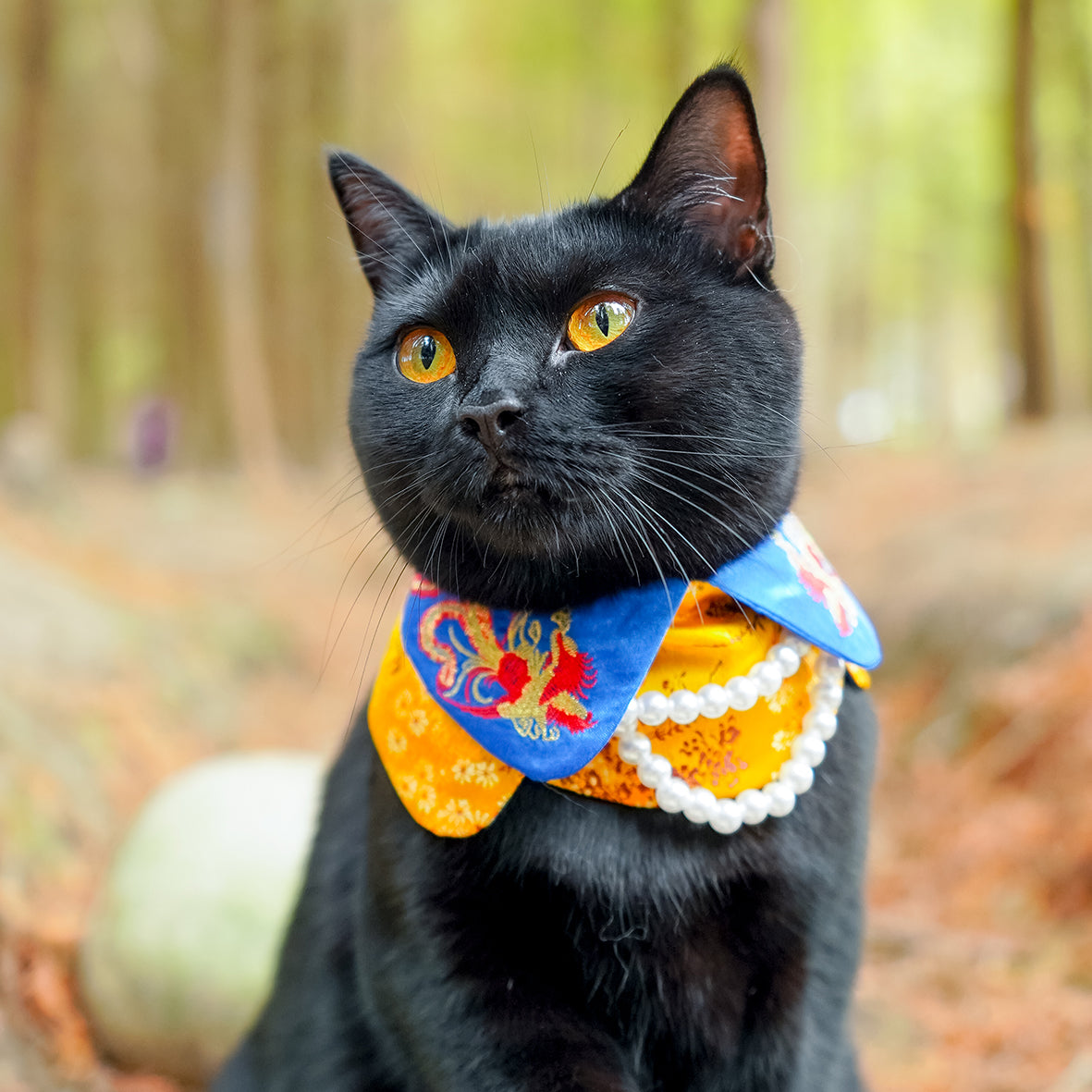 Kowloon Tong (01-Golden Yellow)